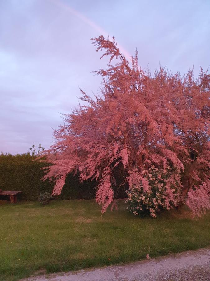 Au Petit Paradis Sainte-Gauburge-Sainte-Colombe ภายนอก รูปภาพ